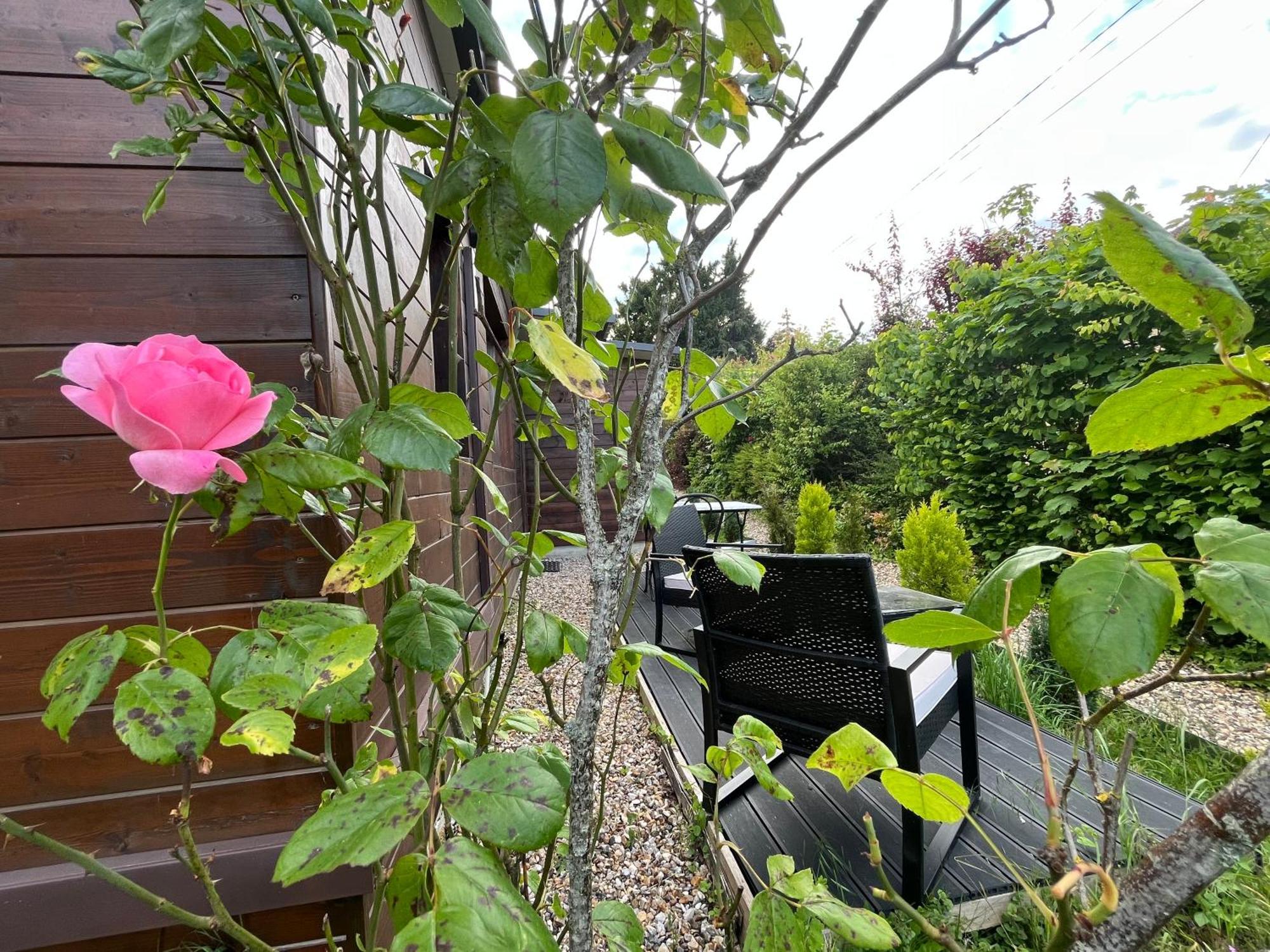 Luxe + Jardin Et Terrasse *